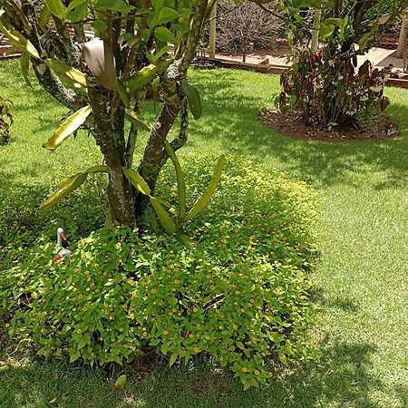 Pousada Chacara Vivalli أولامبرا المظهر الخارجي الصورة